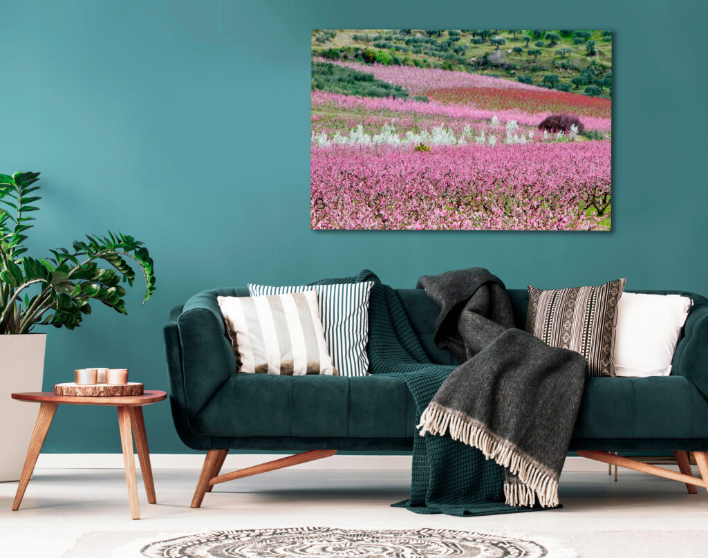 fiori di peschi #2 - immagine 2