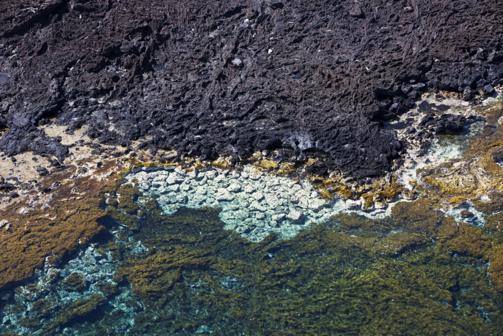 Costa Vulcanica