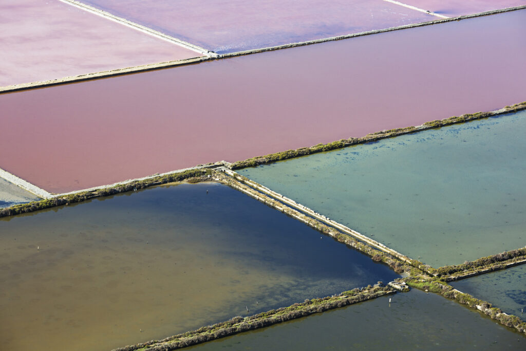 saline di Trapani #2
